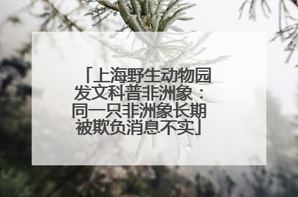 上海野生动物园发文科普非洲象：同一只非洲象长期被欺负消息不实