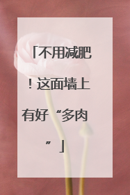 不用减肥！这面墙上有好“多肉”