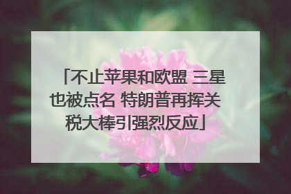 不止苹果和欧盟 三星也被点名 特朗普再挥关税大棒引强烈反应