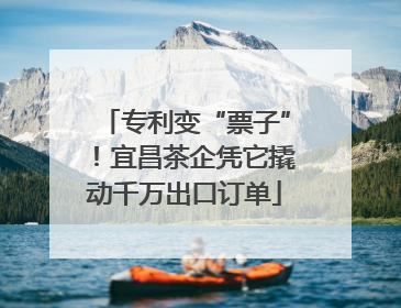 专利变“票子”！宜昌茶企凭它撬动千万出口订单