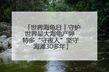 世界海龟日丨守护世界最大海龟产卵 特多“守夜人”坚守海滩30多年