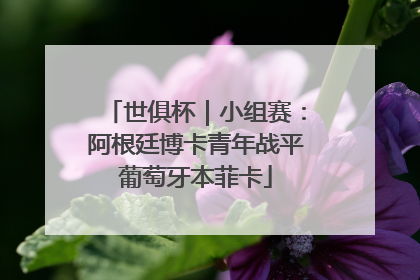 世俱杯｜小组赛：阿根廷博卡青年战平葡萄牙本菲卡