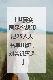 世预赛｜国足客战印尼25人大名单出炉，刘若钒落选