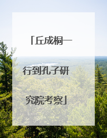 丘成桐一行到孔子研究院考察