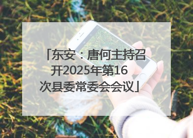东安：唐何主持召开2025年第16次县委常委会会议