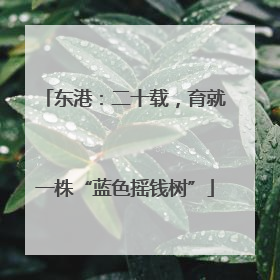 东港：二十载，育就一株“蓝色摇钱树”