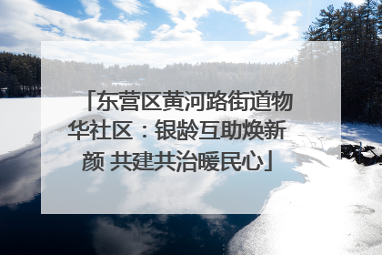 东营区黄河路街道物华社区：银龄互助焕新颜 共建共治暖民心
