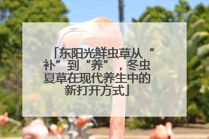 东阳光鲜虫草从“补”到“养”，冬虫夏草在现代养生中的新打开方式
