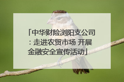 中华财险浏阳支公司：走进农贸市场 开展金融安全宣传活动