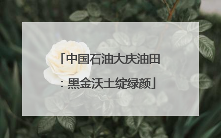 中国石油大庆油田：黑金沃土绽绿颜