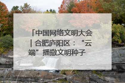 中国网络文明大会｜合肥庐阳区：“云端”播撒文明种子 共建清朗网络空间