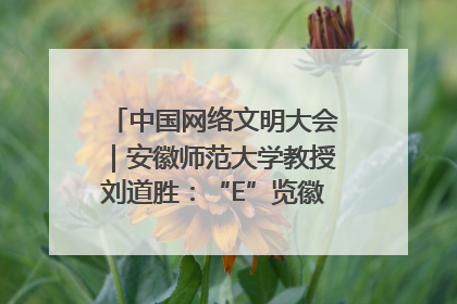 中国网络文明大会｜安徽师范大学教授刘道胜：“E”览徽风，构筑中华民族共有精神家园