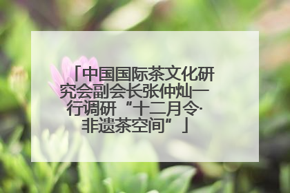 中国国际茶文化研究会副会长张仲灿一行调研“十二月令·非遗茶空间”