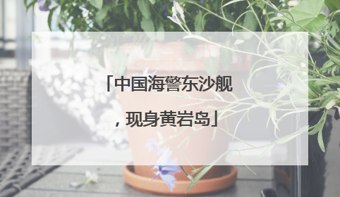 中国海警东沙舰，现身黄岩岛