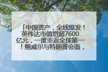 中国资产，全线爆发！英伟达市值增超7600亿元，一度重返全球第一！鲍威尔与特朗普会面，他们聊了什么？