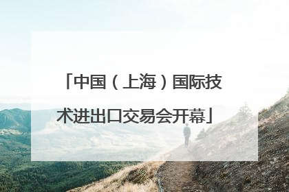 中国（上海）国际技术进出口交易会开幕