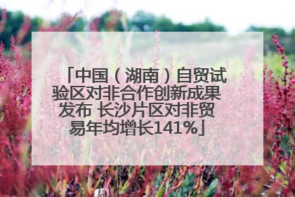 中国（湖南）自贸试验区对非合作创新成果发布 长沙片区对非贸易年均增长141%