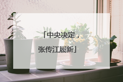 中央决定，张传江履新