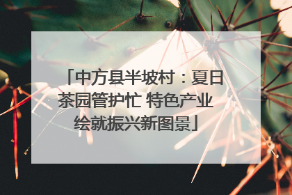 中方县半坡村：夏日茶园管护忙 特色产业绘就振兴新图景