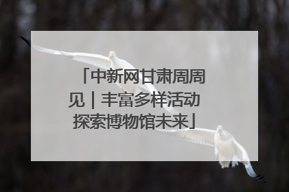 中新网甘肃周周见｜丰富多样活动探索博物馆未来