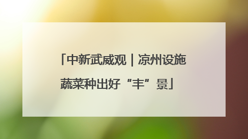 中新武威观｜凉州设施蔬菜种出好“丰”景