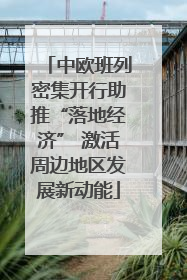 中欧班列密集开行助推“落地经济” 激活周边地区发展新动能