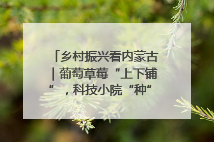 乡村振兴看内蒙古｜葡萄草莓“上下铺”，科技小院“种”出三倍效益