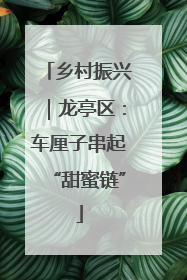 乡村振兴｜龙亭区：车厘子串起“甜蜜链”