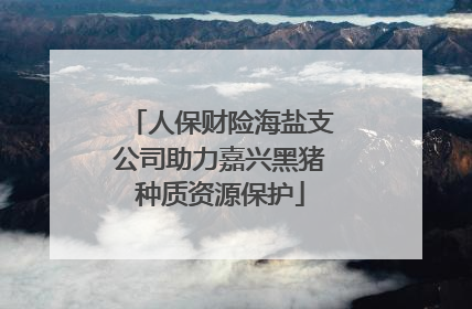 人保财险海盐支公司助力嘉兴黑猪种质资源保护