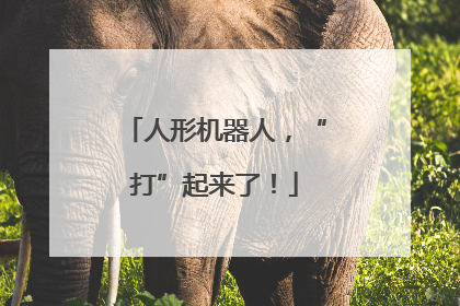 人形机器人，“打”起来了！