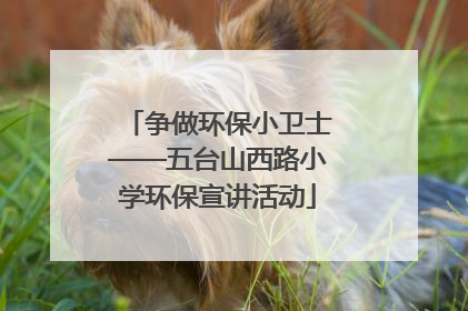 争做环保小卫士——五台山西路小学环保宣讲活动