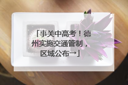 事关中高考！德州实施交通管制，区域公布→
