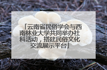 云南省民俗学会与西南林业大学共同举办社科活动，搭建民俗文化交流展示平台