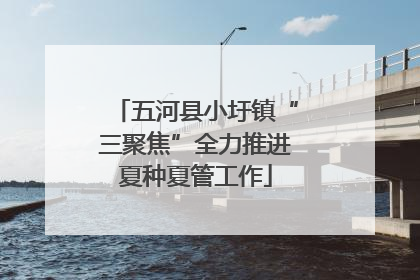 五河县小圩镇“三聚焦”全力推进夏种夏管工作