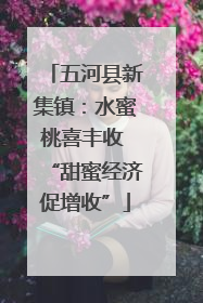 五河县新集镇：水蜜桃喜丰收 “甜蜜经济促增收”