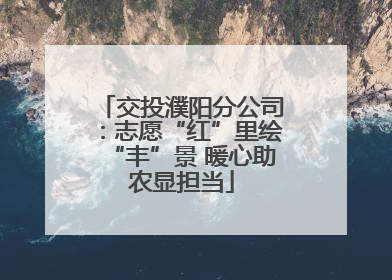 交投濮阳分公司：志愿“红”里绘“丰”景 暖心助农显担当