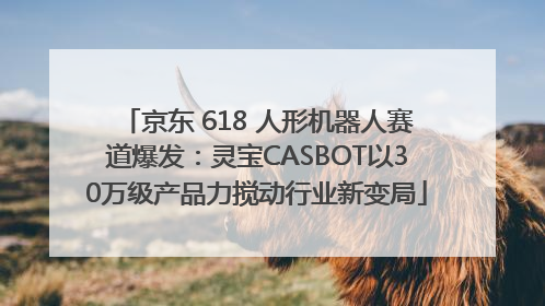 京东 618 人形机器人赛道爆发：灵宝CASBOT以30万级产品力搅动行业新变局