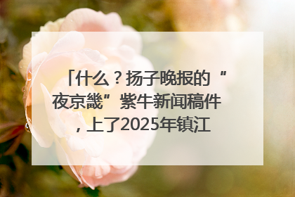什么？扬子晚报的“夜京畿”紫牛新闻稿件，上了2025年镇江中考模拟卷！