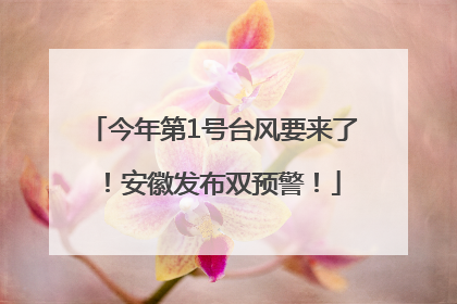 今年第1号台风要来了！安徽发布双预警！
