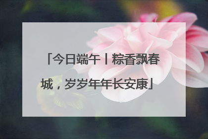 今日端午丨粽香飘春城，岁岁年年长安康