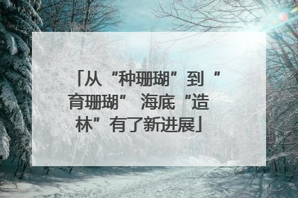 从“种珊瑚”到“育珊瑚” 海底“造林”有了新进展