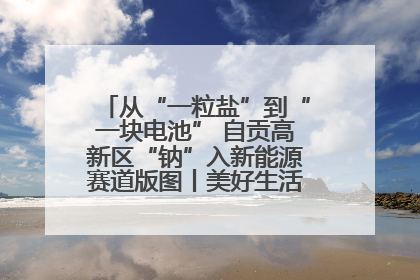 从“一粒盐”到“一块电池” 自贡高新区“钠”入新能源赛道版图丨美好生活有“盐”味