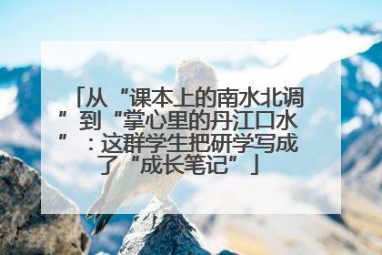 从“课本上的南水北调”到“掌心里的丹江口水”：这群学生把研学写成了“成长笔记”