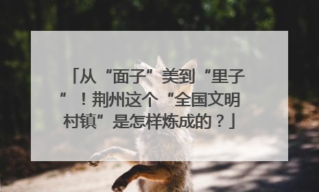 从“面子”美到“里子”！荆州这个“全国文明村镇”是怎样炼成的？