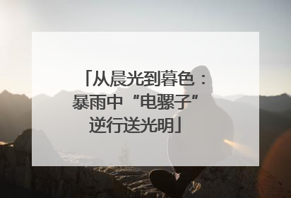 从晨光到暮色：暴雨中“电骡子”逆行送光明