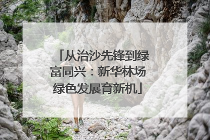 从治沙先锋到绿富同兴：新华林场绿色发展育新机