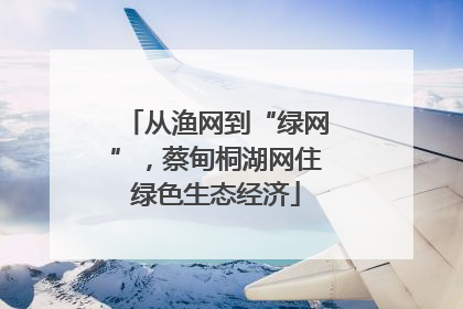 从渔网到“绿网”，蔡甸桐湖网住绿色生态经济