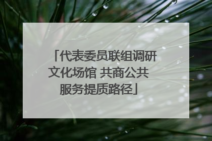 代表委员联组调研文化场馆 共商公共服务提质路径