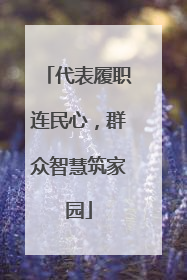 代表履职连民心，群众智慧筑家园