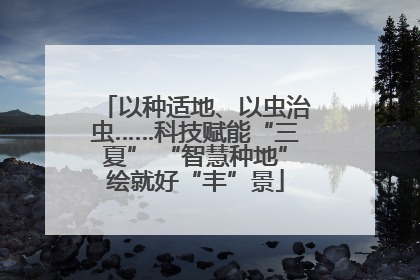 以种适地、以虫治虫……科技赋能“三夏” “智慧种地”绘就好“丰”景